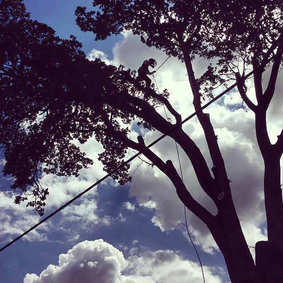 Careful work over an electric powerline